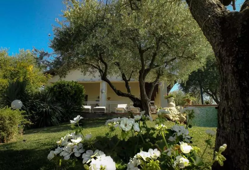 Aamiaismajoitus (B&B) La Gemma Sul Lago