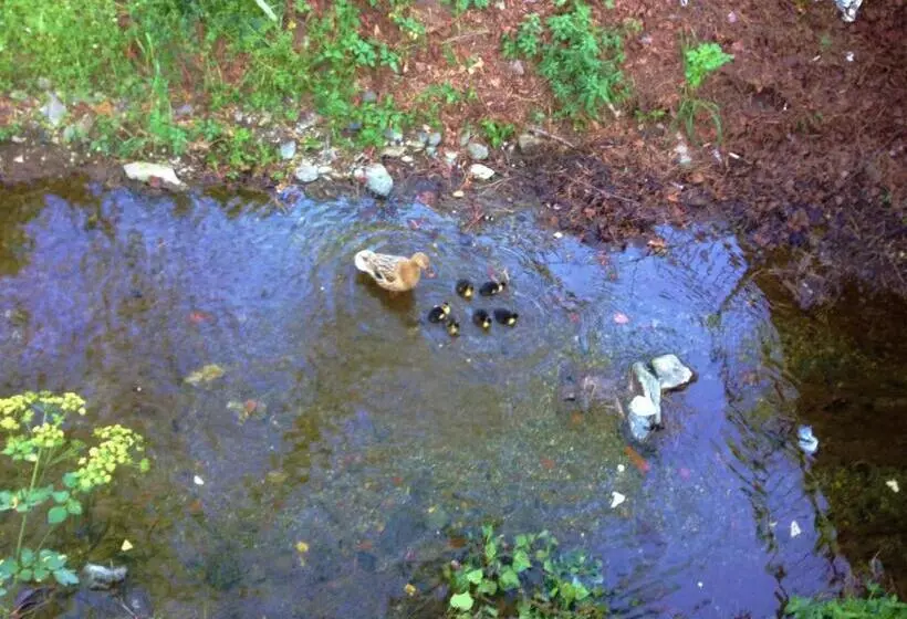 ベッドアンドブレックファースト Rosmarino