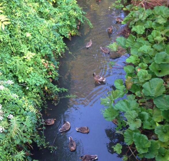 住宿加早餐 Rosmarino