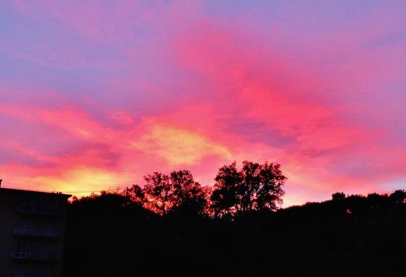 住宿加早餐 Rosmarino