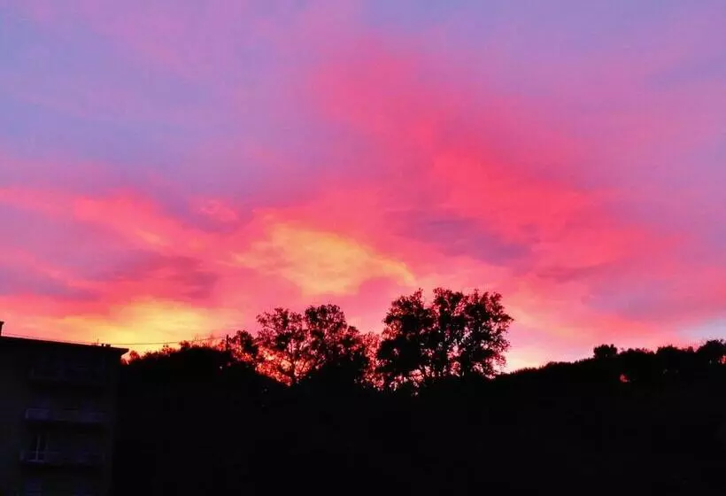 ベッドアンドブレックファースト Rosmarino