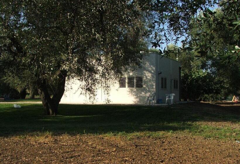 B&b Finestre Tra Gli Ulivi