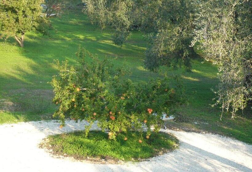 B&b Finestre Tra Gli Ulivi