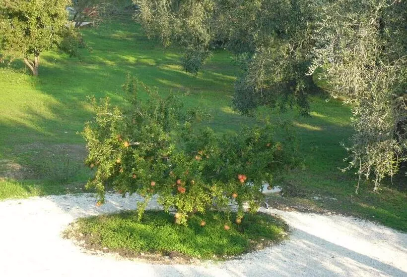 B&b Finestre Tra Gli Ulivi