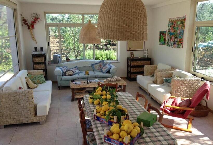 B&b Finestre Tra Gli Ulivi