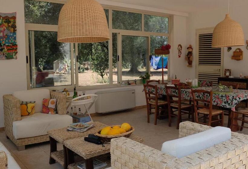 B&b Finestre Tra Gli Ulivi