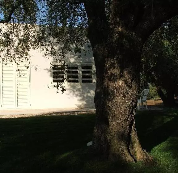 B&b Finestre Tra Gli Ulivi