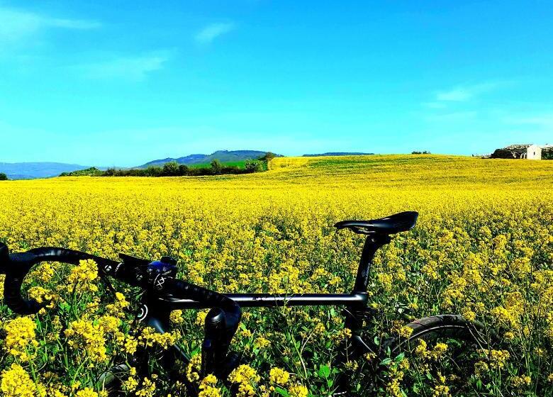 Bed and Breakfast A Mo Casa