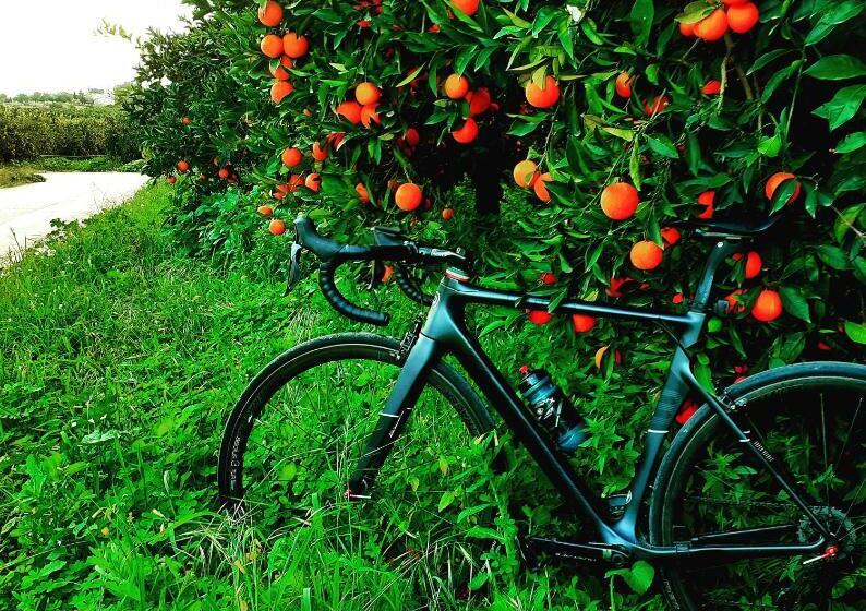 Bed and Breakfast A Mo Casa