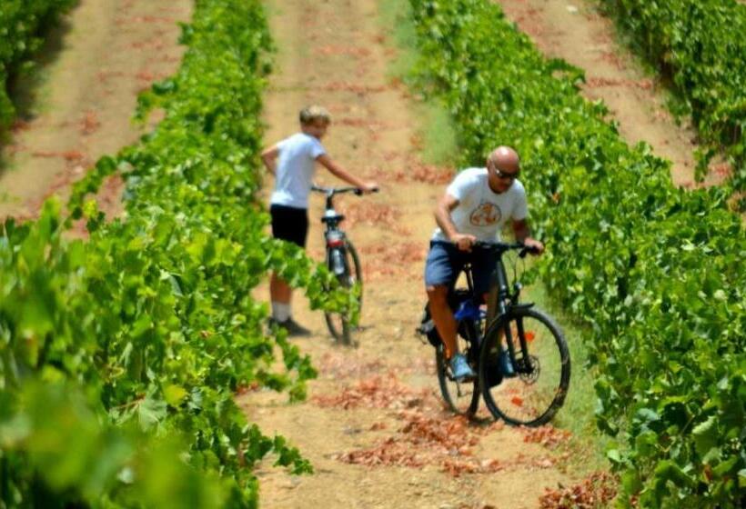 Bed and Breakfast A Mo Casa