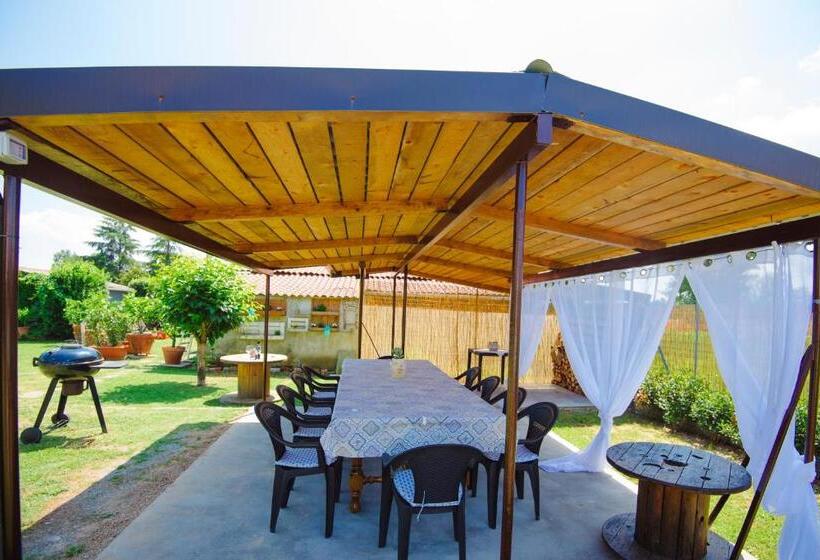 تختخواب و صبحانه Dolce Sosta