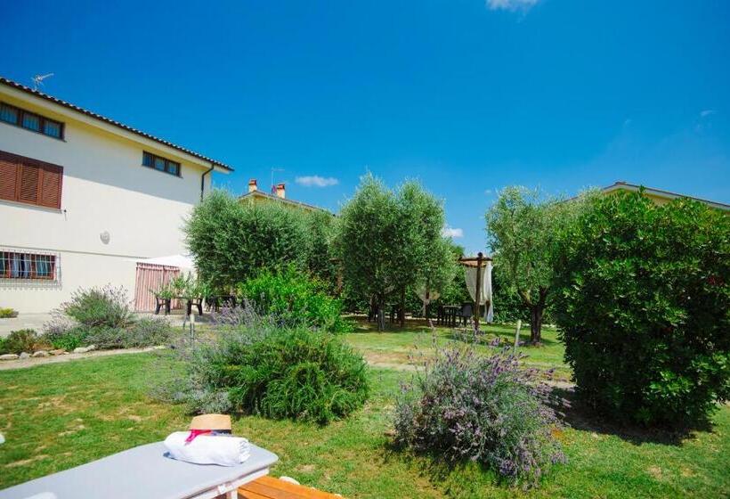 تختخواب و صبحانه Dolce Sosta