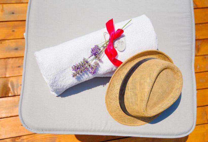 تختخواب و صبحانه Dolce Sosta