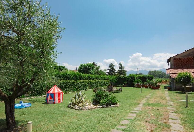 تختخواب و صبحانه Dolce Sosta