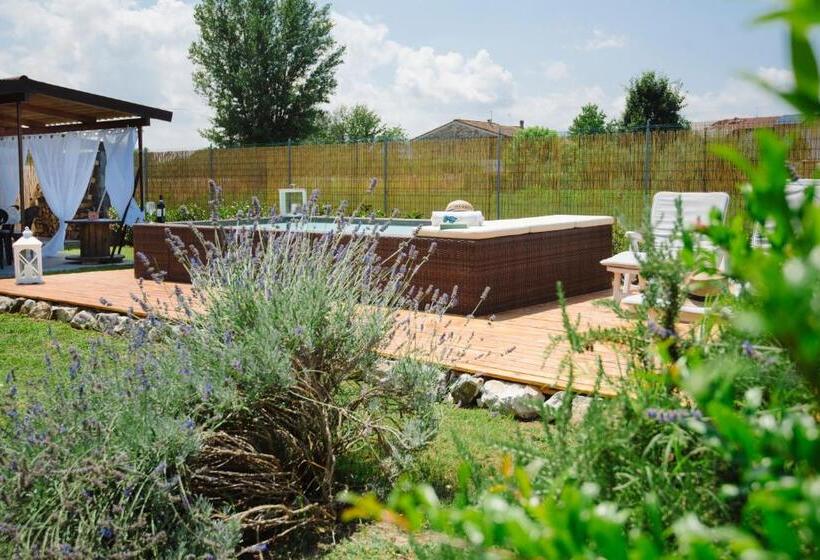 تختخواب و صبحانه Dolce Sosta