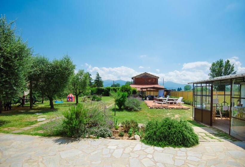 تختخواب و صبحانه Dolce Sosta