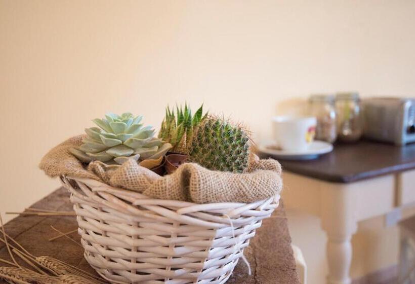 تختخواب و صبحانه Dolce Sosta