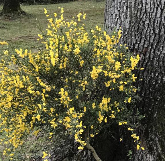 住宿加早餐  Il Giardino Dei Sogni