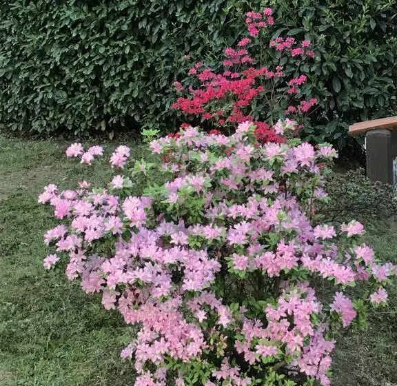 ベッドアンドブレックファースト Il Giardino Dei Sogni