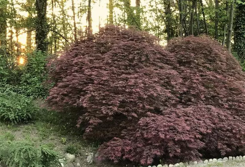 ベッドアンドブレックファースト Il Giardino Dei Sogni