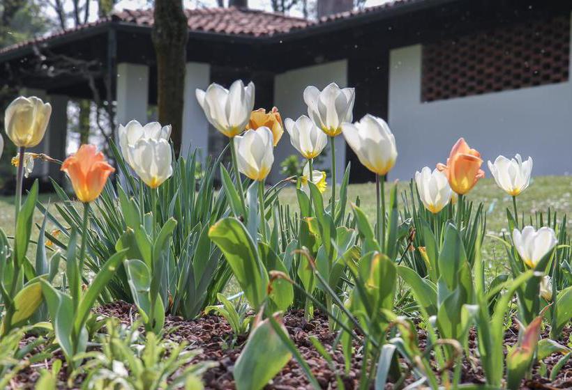 住宿加早餐  Il Giardino Dei Sogni