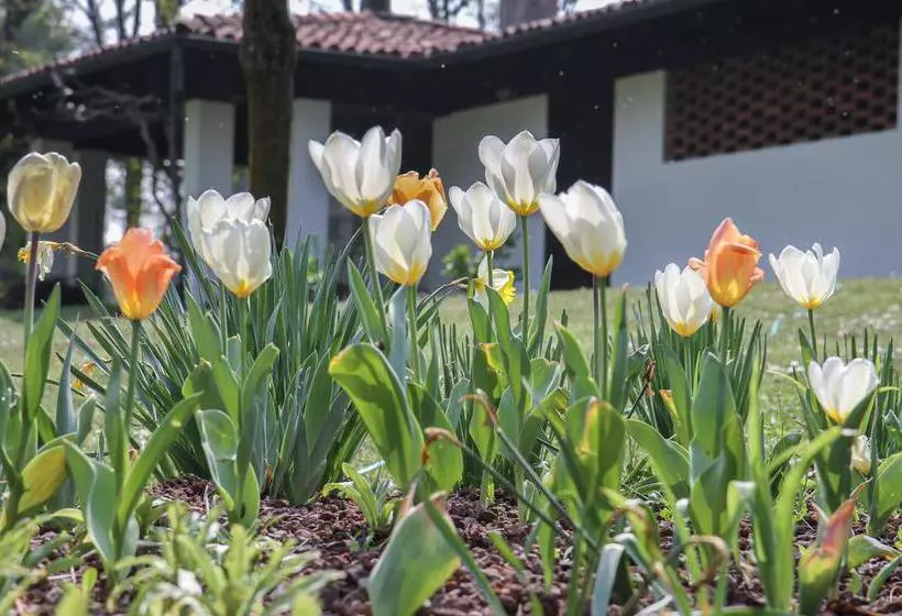 ベッドアンドブレックファースト Il Giardino Dei Sogni