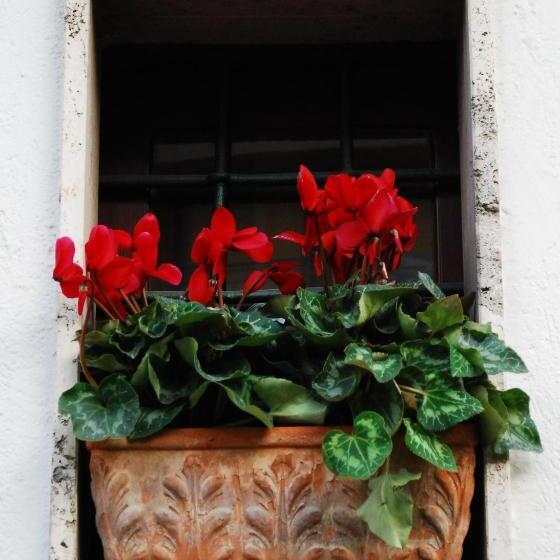 צימר Le Stanze Dei Nonni