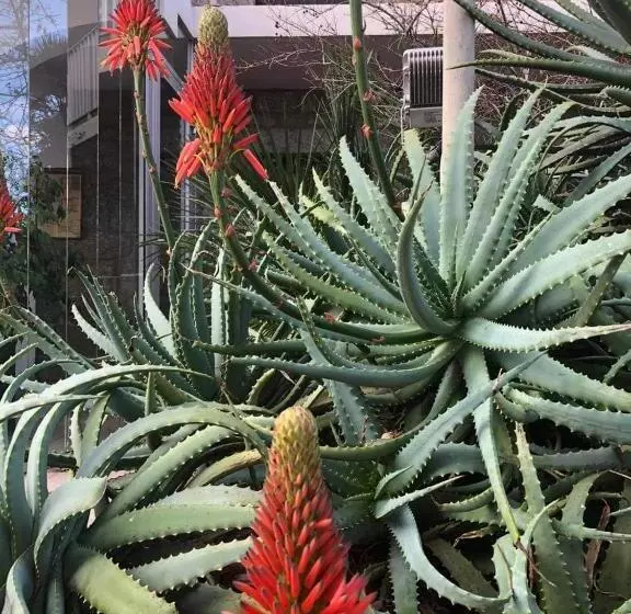 Hotelli Hôtel Beach