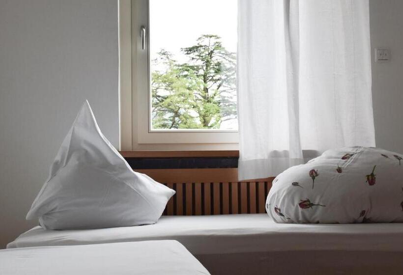 호텔 Villa Freiheim