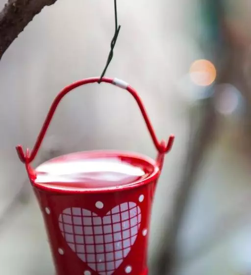 La Casa Dei Nonni B&b