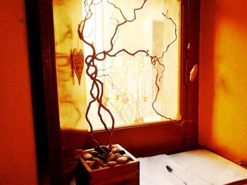 La Casa Dei Nonni B&b