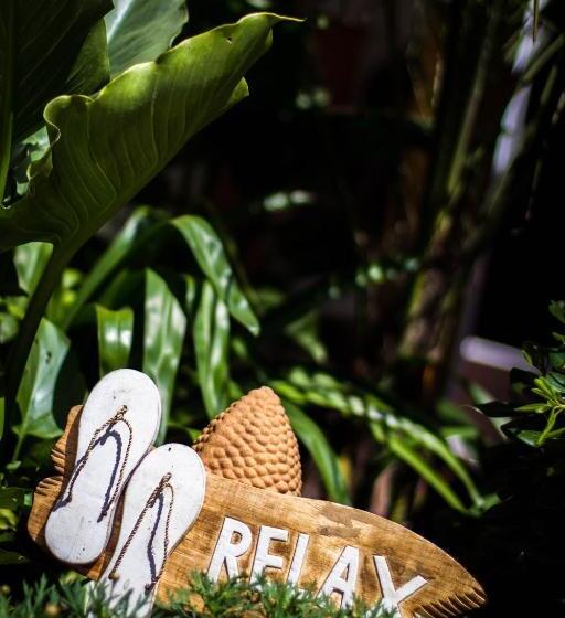 Villa Zenith Hostel La Surf House