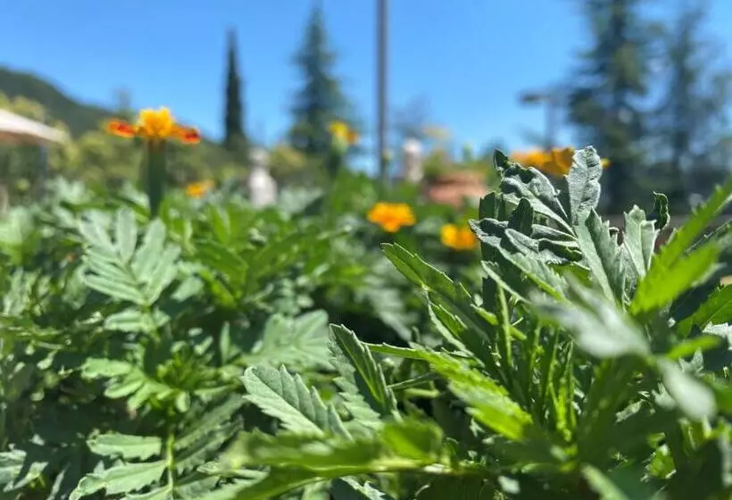 Retkeilymaja Residence Delle Tre Corone