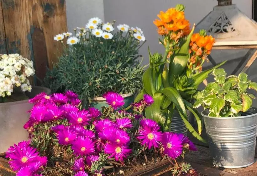 Aamiaismajoitus (B&B) A Casa Di Ita