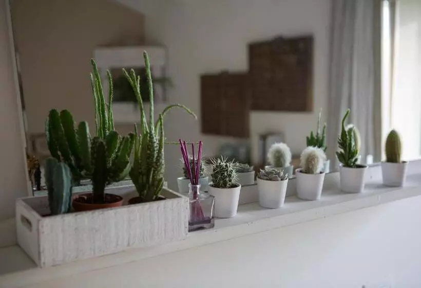 Aamiaismajoitus (B&B) A Casa Di Ita