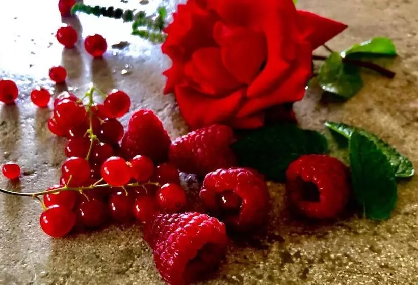 Aamiaismajoitus (B&B) A Casa Di Ita