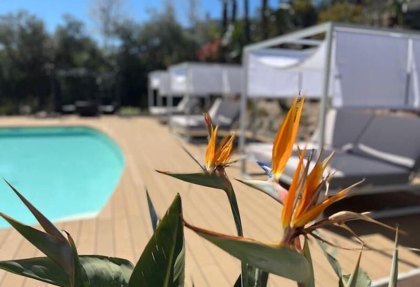 住宿加早餐  Charming Bellagio Boutique