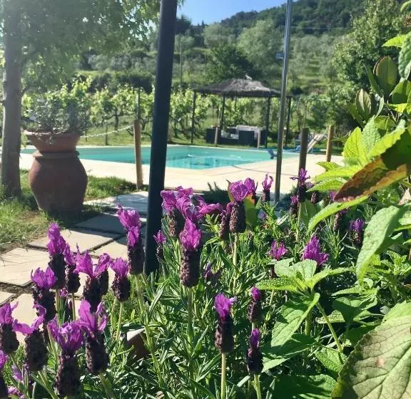 تختخواب و صبحانه Country Room Il Moro