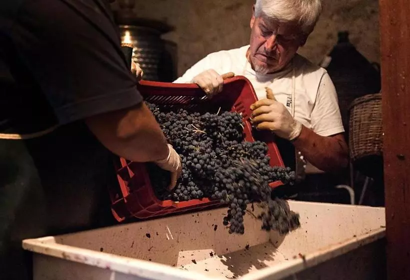 تختخواب و صبحانه Country Room Il Moro