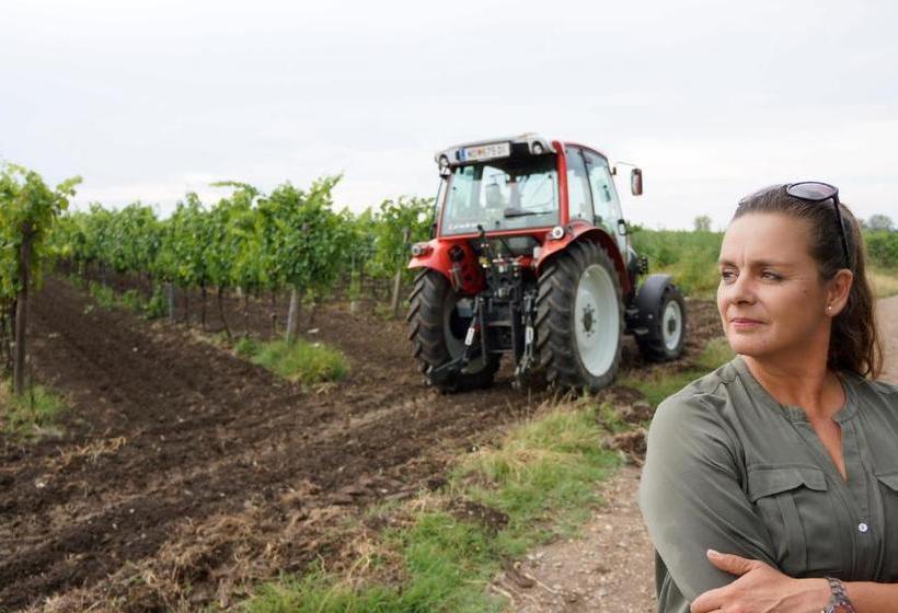 مبيت وإفطار Gästehaus Ringbauer