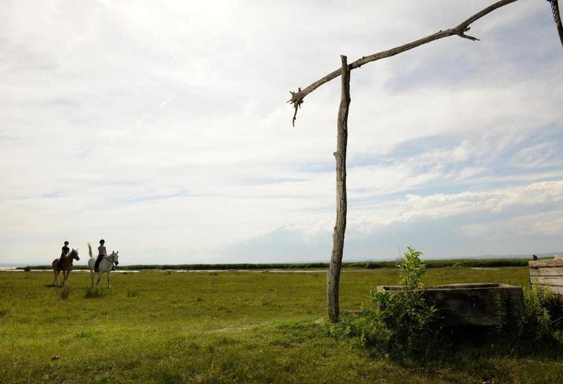مبيت وإفطار Gästehaus Ringbauer