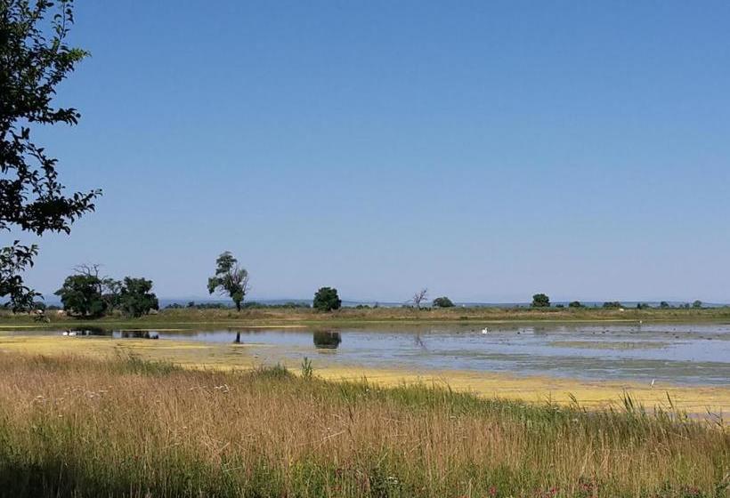 مبيت وإفطار Gästehaus Ringbauer