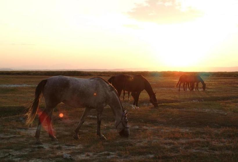مبيت وإفطار Gästehaus Ringbauer