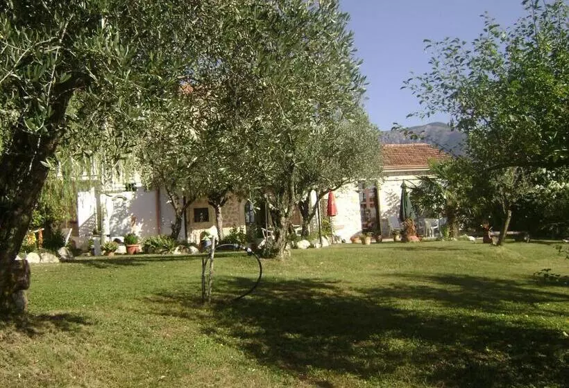 ベッドアンドブレックファースト The Wishing Well