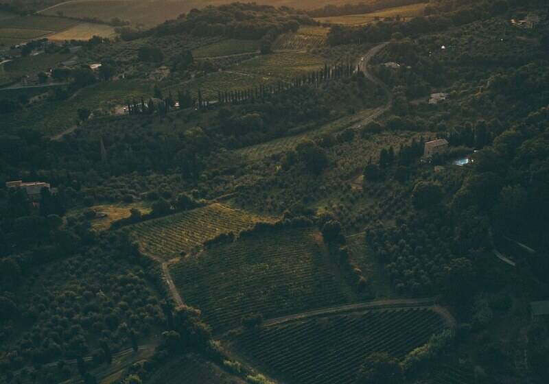 בית מלון כפרי Vecchia Oliviera