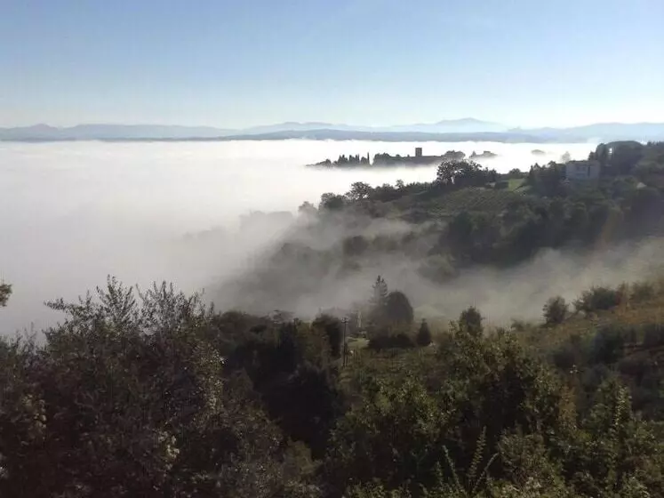 Hotelli Vecchia Oliviera