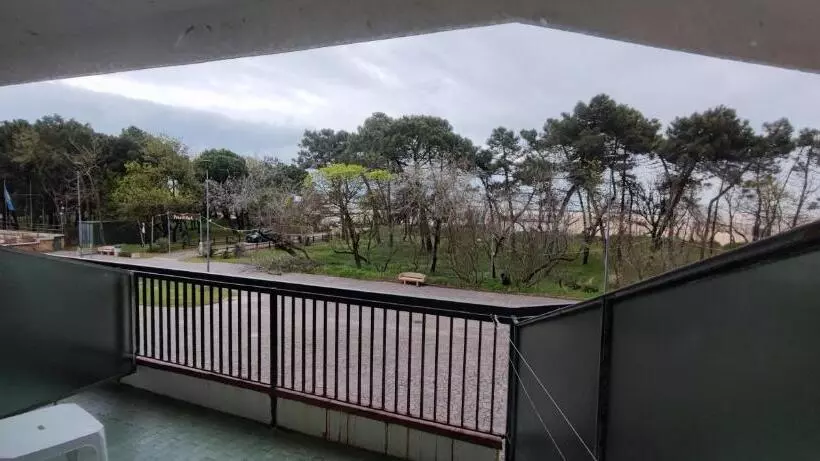 ホテル Zeus Lido Di Classe Room Only