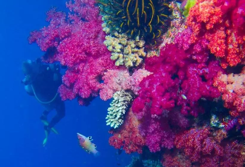 Taveuni Palms Resort