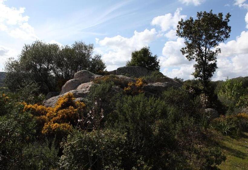 B&b Terra E Smeralda