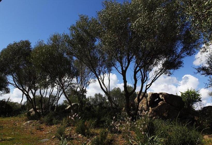 B&b Terra E Smeralda